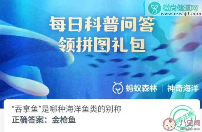 吞拿鱼是哪种海洋鱼类的别称 神奇海洋9月30日答案