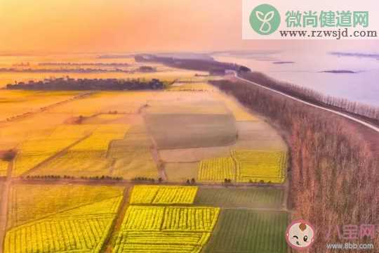 李白名句千里江陵一日还的江陵位于哪里 蚂蚁庄园10月2日答案最新