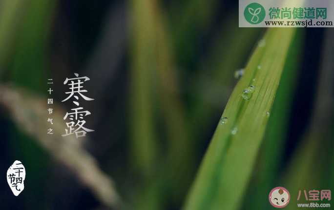 寒露百花凋猜猜哪种花会在寒露时节盛开 蚂蚁庄园10月8日答案