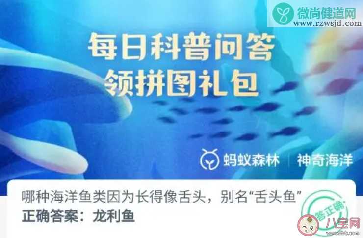 哪种海洋鱼类因为长得像舌头