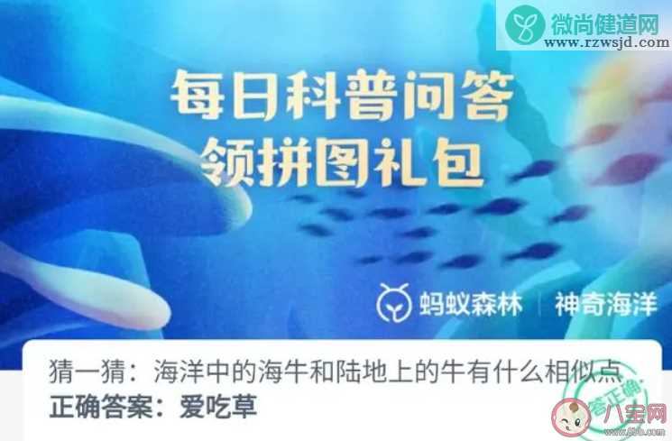 海牛和陆地上的牛有什么相似