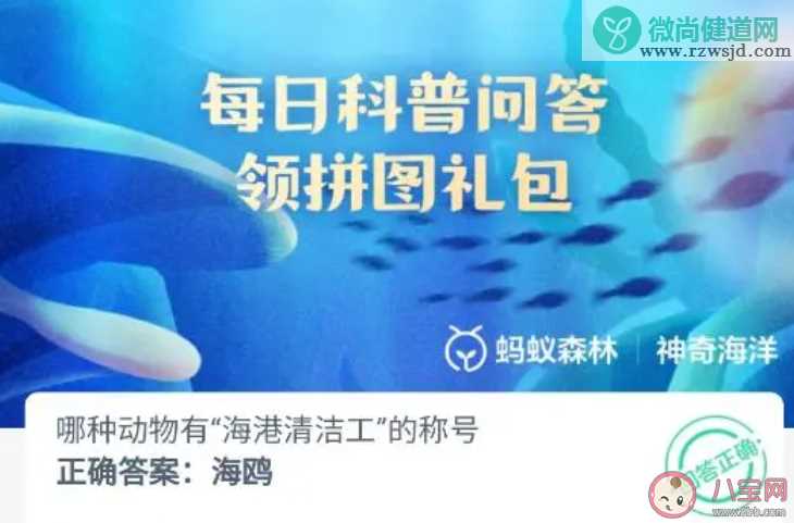 哪种动物有海港清洁工的称号