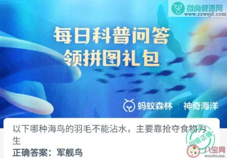 以下哪种海鸟的羽毛不能沾水主要靠抢夺食物为生 神