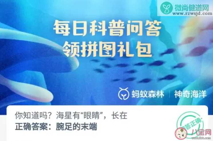 你知道吗海星有眼睛长在哪 