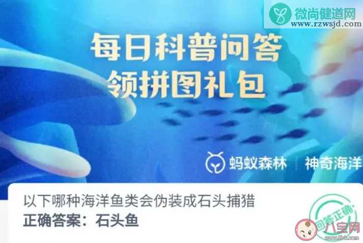 以下哪种海洋鱼类会伪装成石头捕猎 神奇海洋10月25