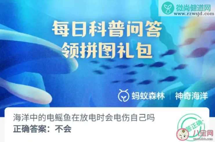 海洋中的电鳐鱼在放电时会电伤自己吗 神奇海洋10月30日答案