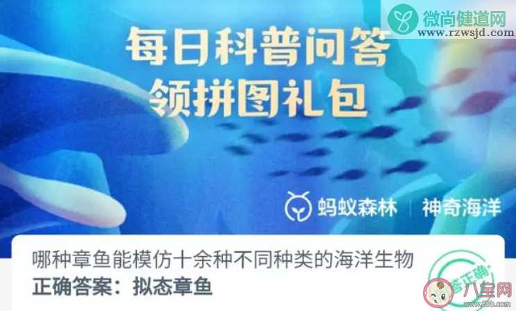 哪种章鱼能模仿十余种不同种