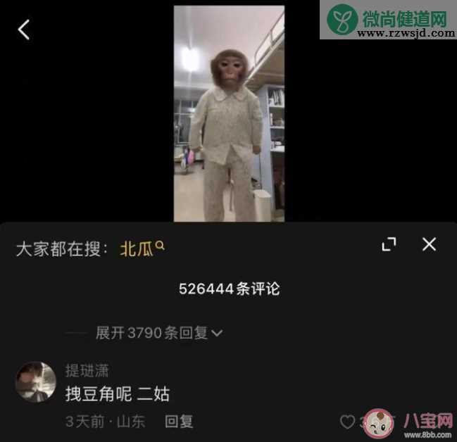 吗喽占领了年轻人的生活圈吗 吗喽是什么梗