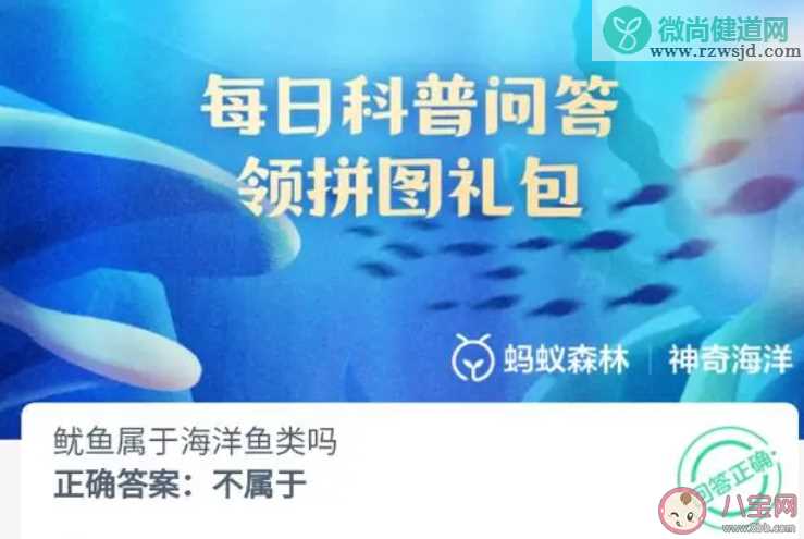 鱿鱼属于海洋鱼类吗 神奇海