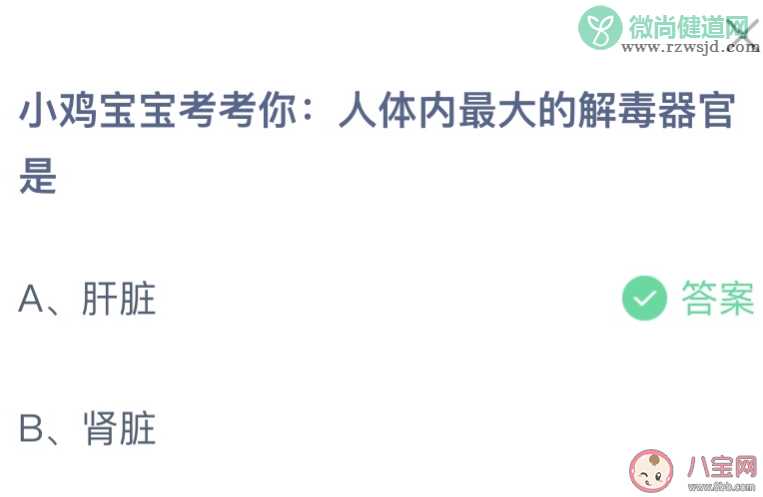 人体内最大的解毒器官是什么 蚂蚁庄园11月25日答案