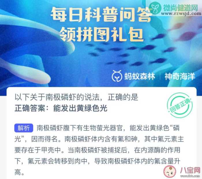 以下关于南极磷虾的说法正确的是 神奇海洋11月29日