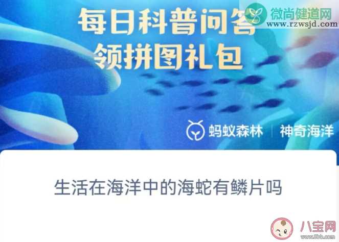 生活在海洋中的海蛇有鳞片吗