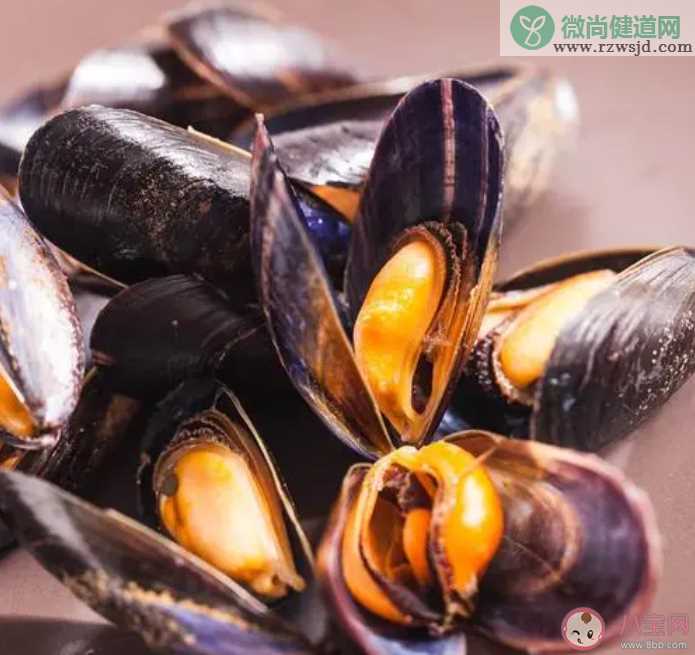 以下哪一项属于海洋软体动物 神奇海洋12月15日答案