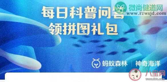 在海洋哺乳动物中唯一能在我国海域自然繁殖的鳍足类是 神奇海洋12月16日答案