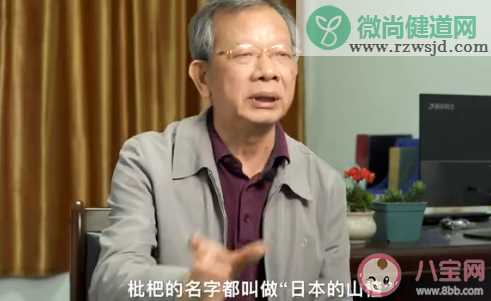 科学家用一辈子为枇杷改名是怎么回事 枇杷原产地是哪个国家