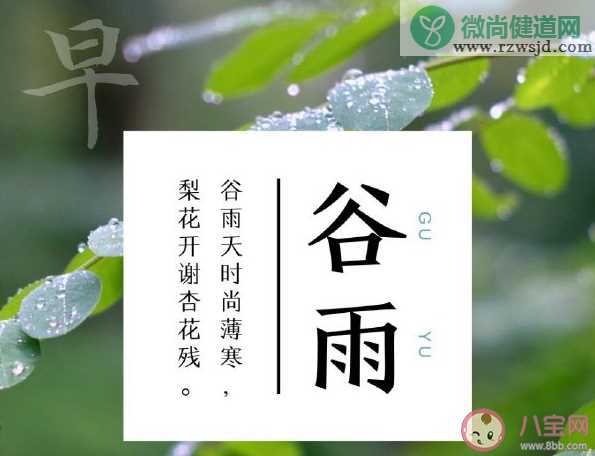 2021谷雨节气早安温暖问候语句子 谷雨节气早安一句话说说