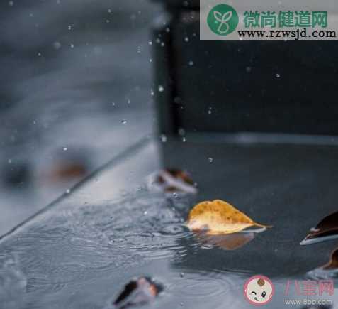 雨天睡眠质量好的原因是什么 为什么下雨天睡得更香