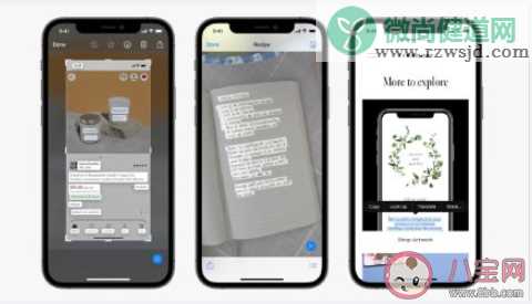 iOS15可将图片转成文字 iOS15都有哪些新功能