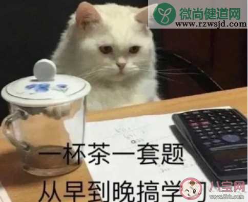 抢购的学霸笔记对实际学习有用吗 学霸的笔记值得抢购吗