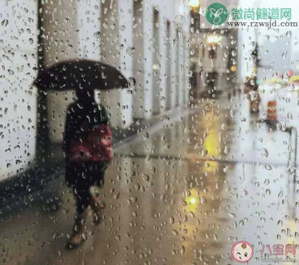 形容下暴雨的宝藏句子 适合