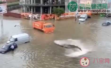 河南暴雨辟谣消息汇总 关于河南暴雨的谣言有哪些