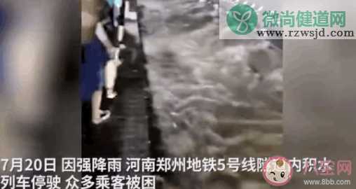 郑州为何乘客被困地铁两站之间 暴雨天被困地铁该怎么办