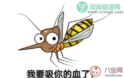 什么样的人最容易招蚊子 如何避免被蚊子咬