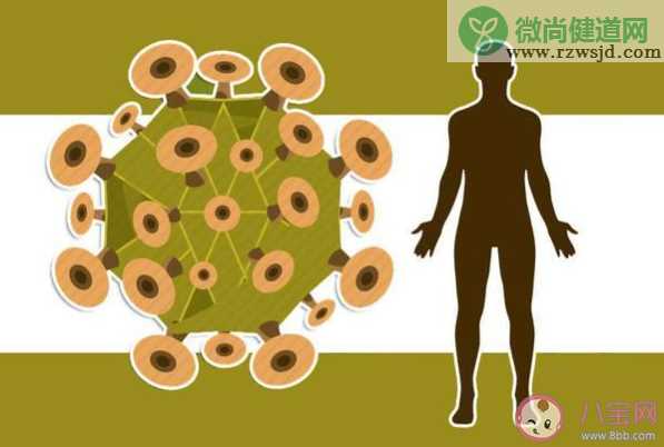 疫情传播链为何层层失守 传