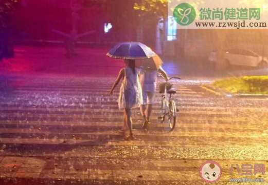 全国11省区有大到暴雨 如何防御暴雨到来