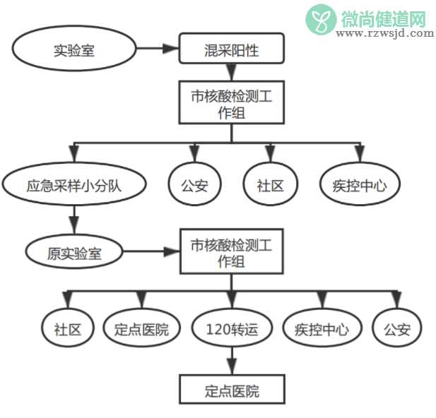 新版全员核酸检测组织实施指南发布 第二版指南都有哪些内容