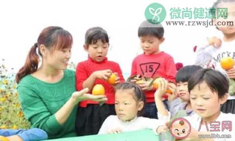 2021幼儿园霜降活动报道稿美篇 2021幼儿园霜降活动现场简报大全