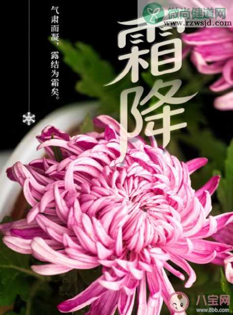 又是一年霜降节气的朋友圈祝福说说 霜降节气又来临的祝福语大全