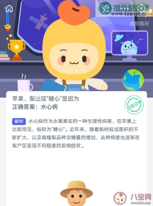 苹果梨出现糖心是什么原因 