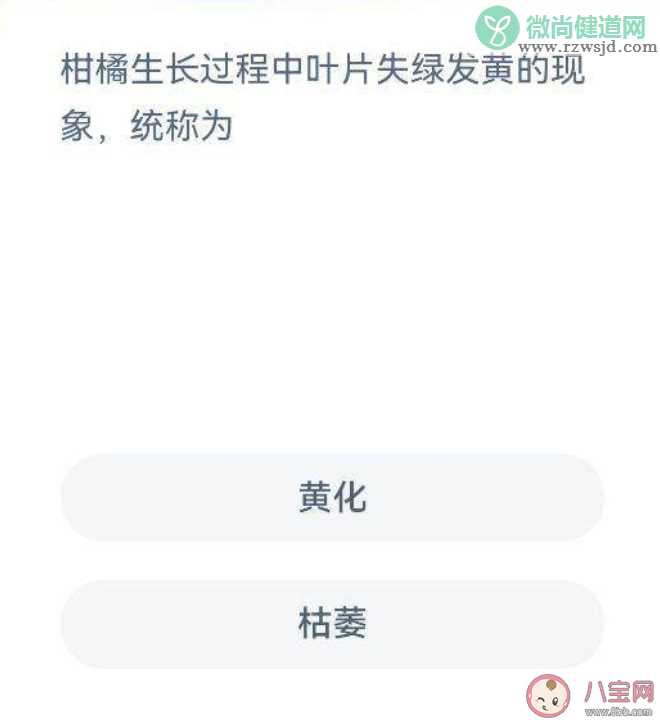 柑橘在生长过程中叶片失绿发