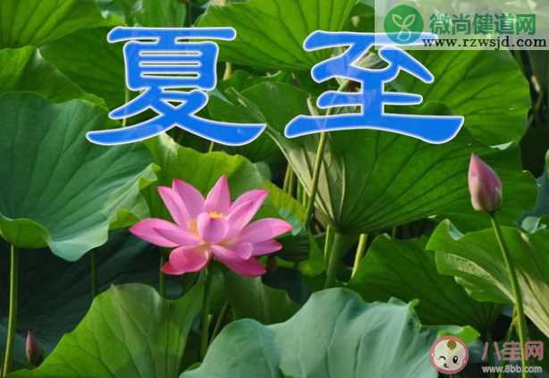 猜猜古人最初靠什么来确定二十四节气 蚂蚁庄园6月21日答案介绍