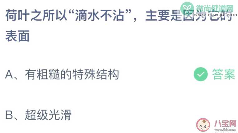 荷叶之所以滴水不沾是因为它的表面 蚂蚁庄园7月2日答案介绍