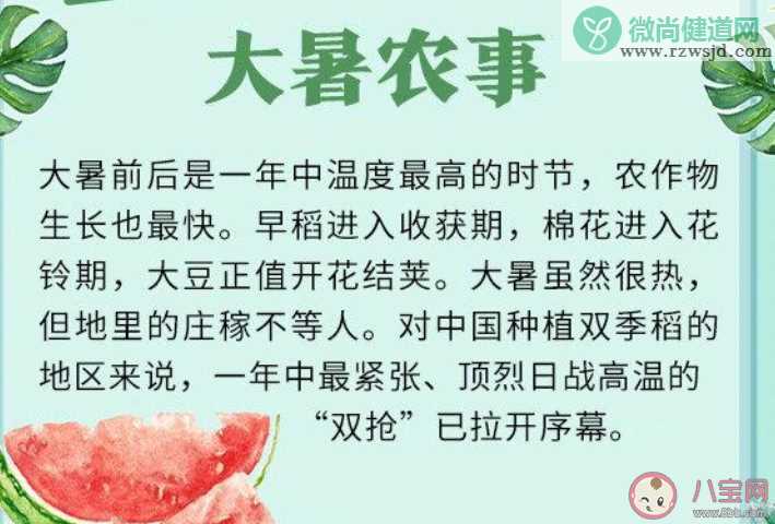 蚂蚁庄园夏季的最后一个节气是什么 小课堂7月23日答案最新