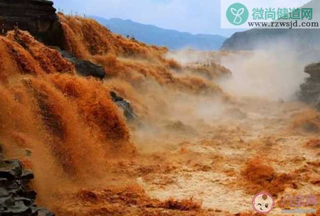 三十年河东三十年河西中的河指的是什么 蚂蚁庄园7月28日答案最新