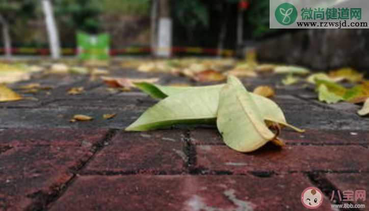 雨后泥土的清香来自于什么 蚂蚁庄园8月17日正确答案