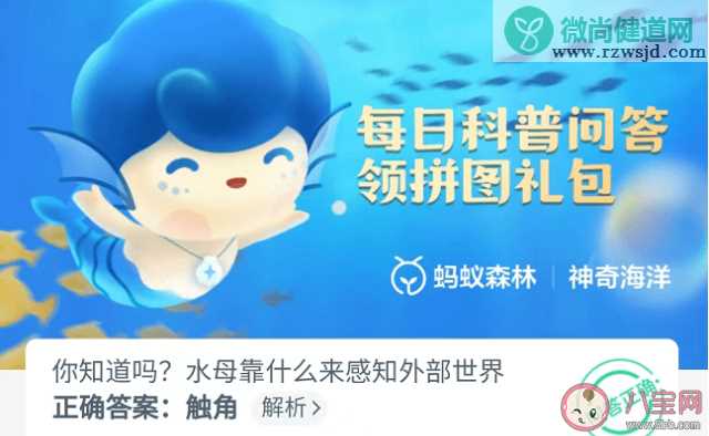 水母靠什么来感知外部世界 蚂蚁森林8月18日答案