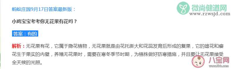 蚂蚁庄园无花果有花吗 9月17日正确答案解析