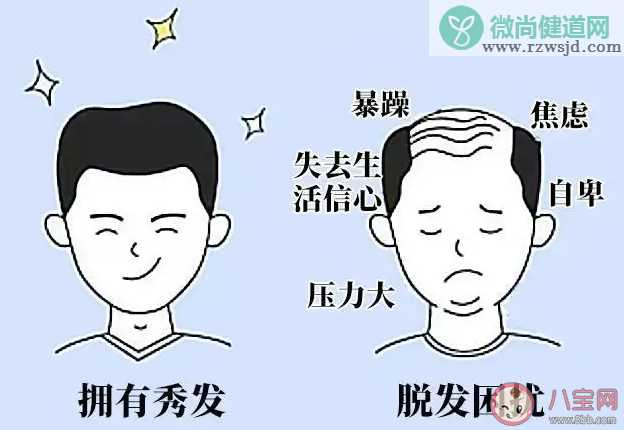 年轻人该如何预防脱发 脱发常见的原因有哪些