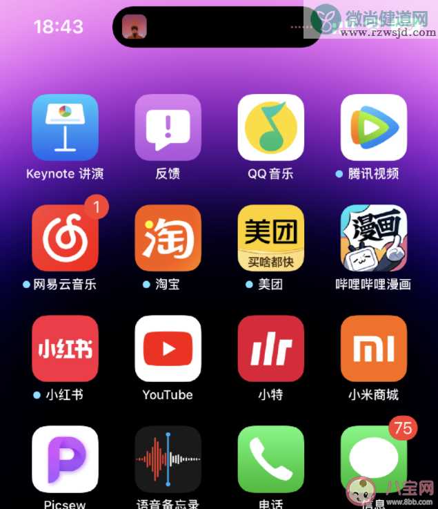 iPhone14 Pro截屏带岛是什么原因 iPhone14 Pro截屏带岛怎么办