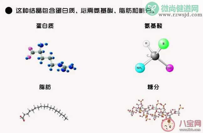 蟑螂奶是什么蟑螂产出来的奶吗 蟑螂奶是怎么发现的