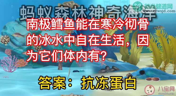 南极鳕鱼在冰水中生活因为它们体内有什么蛋白 蚂蚁