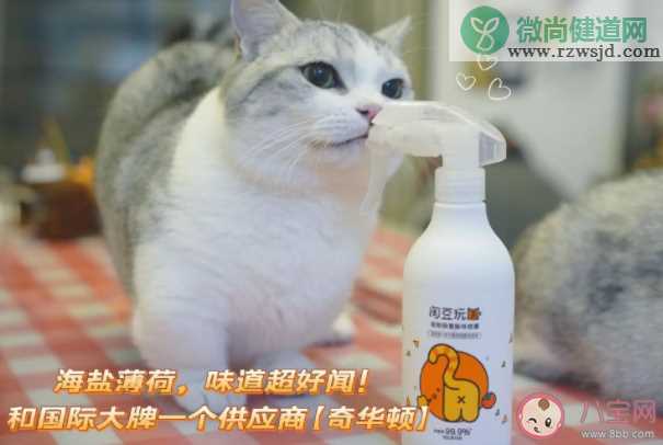 你养猫猫的原因是什么 为什么很多人都喜欢养猫