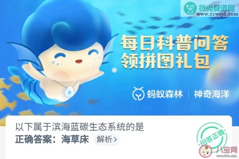 以下属于滨海蓝碳生态系统的