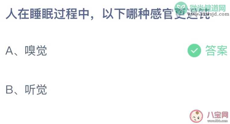 人在睡眠中嗅觉和听觉哪种感官更迟钝 蚂蚁庄园10月15日答案介绍