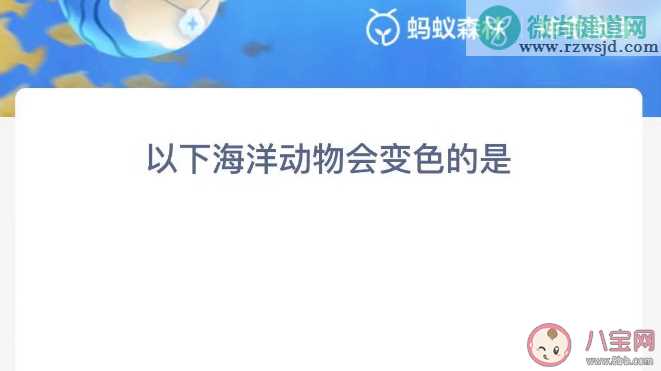 以下海洋动物会变色的是哪个 蚂蚁森林神奇海洋10月21日答案