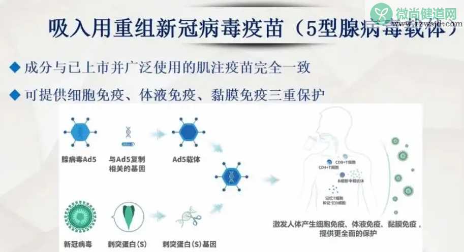 接种吸入用重组新冠病毒疫苗的条件是什么 吸入用重组新冠病毒疫苗的加强免疫有效性如何